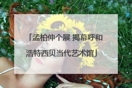 孟柏伸个展 揭幕呼和浩特西贝当代艺术馆