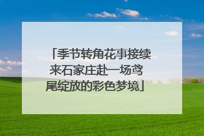 季节转角花事接续 来石家庄赴一场鸢尾绽放的彩色梦境