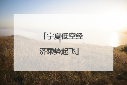 宁夏低空经济乘势起飞