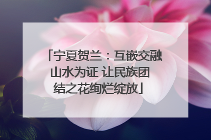 宁夏贺兰：互嵌交融 山水为证 让民族团结之花绚烂绽放