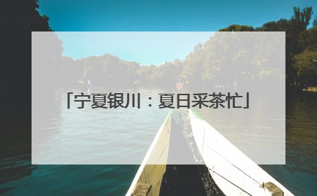 宁夏银川：夏日采茶忙