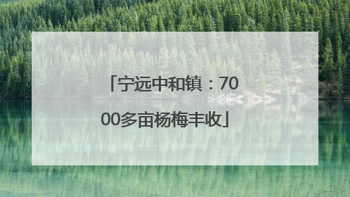 宁远中和镇：7000多亩杨梅丰收