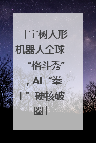 宇树人形机器人全球“格斗秀”，AI“拳王”硬核破圈