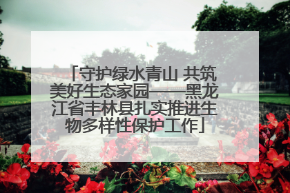 守护绿水青山 共筑美好生态家园——黑龙江省丰林县扎实推进生物多样性保护工作