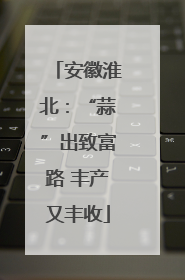安徽淮北：“蒜”出致富路 丰产又丰收