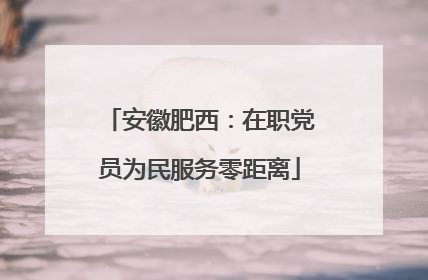 安徽肥西：在职党员为民服务零距离