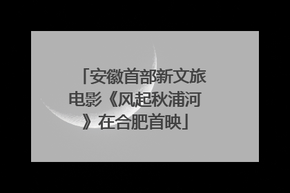 安徽首部新文旅电影《风起秋浦河》在合肥首映