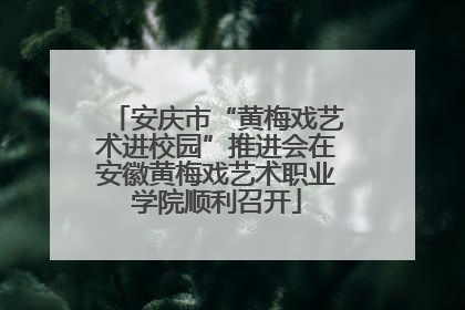 安庆市“黄梅戏艺术进校园”推进会在安徽黄梅戏艺术职业学院顺利召开