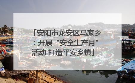 安阳市龙安区马家乡：开展“安全生产月”活动 打造平安乡镇