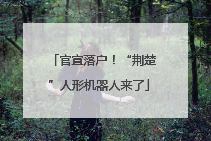 官宣落户！“荆楚”人形机器人来了