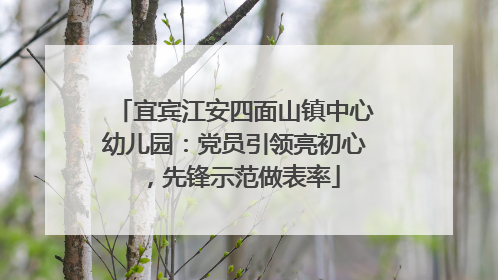 宜宾江安四面山镇中心幼儿园：党员引领亮初心，先锋示范做表率