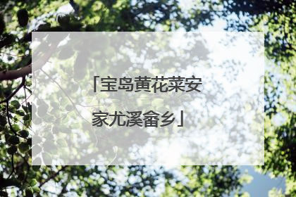 宝岛黄花菜安家尤溪畲乡