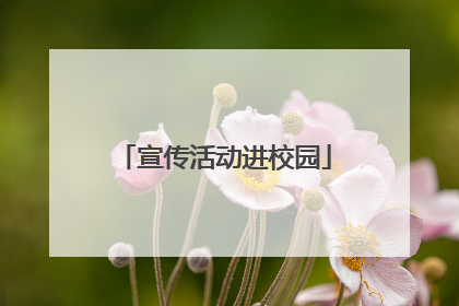 宣传活动进校园
