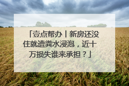 壹点帮办丨新房还没住就遭粪水浸泡，近十万损失谁来承担？