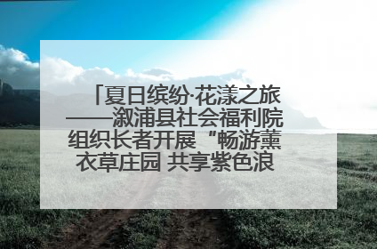 夏日缤纷·花漾之旅——溆浦县社会福利院组织长者开展“畅游薰衣草庄园 共享紫色浪漫”户外活动