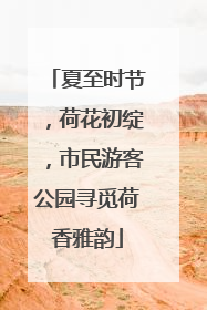 夏至时节，荷花初绽，市民游客公园寻觅荷香雅韵