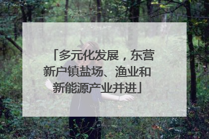 多元化发展，东营新户镇盐场、渔业和新能源产业并进