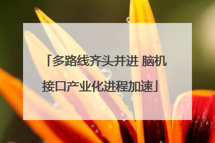 多路线齐头并进 脑机接口产业化进程加速