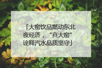 大窑饮品燃动东北夜经济，“真大窑”诠释汽水品质坚守