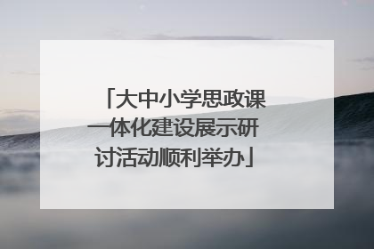 大中小学思政课一体化建设展示研讨活动顺利举办