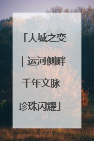 大城之变｜运河侧畔 千年文脉珍珠闪耀