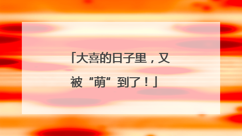 大喜的日子里，又被“萌”到了！