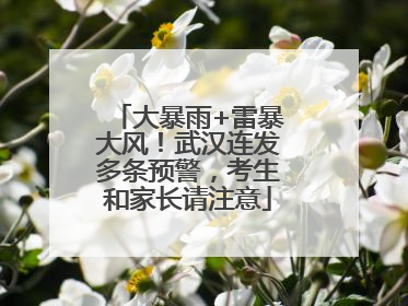 大暴雨+雷暴大风！武汉连发多条预警，考生和家长请注意