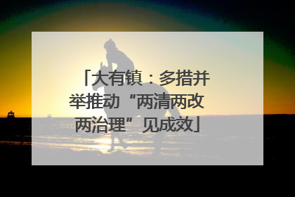 大有镇：多措并举推动“两清两改两治理”见成效