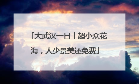 大武汉一日丨超小众花海，人少景美还免费