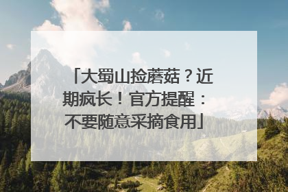 大蜀山捡蘑菇？近期疯长！官方提醒：不要随意采摘食用