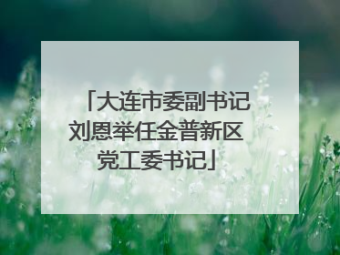 大连市委副书记刘恩举任金普新区党工委书记