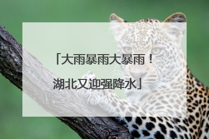 大雨暴雨大暴雨！湖北又迎强降水