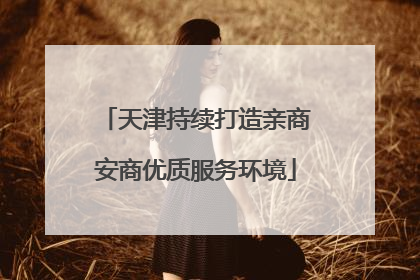 天津持续打造亲商安商优质服务环境
