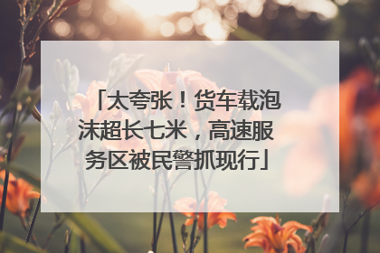 太夸张！货车载泡沫超长七米，高速服务区被民警抓现行