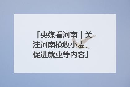 央媒看河南｜关注河南抢收小麦、促进就业等内容