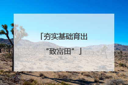 夯实基础育出“致富田”