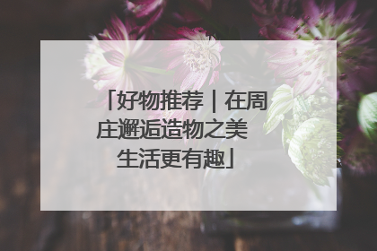 好物推荐｜在周庄邂逅造物之美 生活更有趣