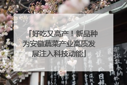 好吃又高产！新品种为安徽蔬菜产业高质发展注入科技动能