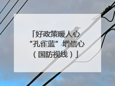 好政策暖人心 “孔雀蓝”增信心（国防视线）
