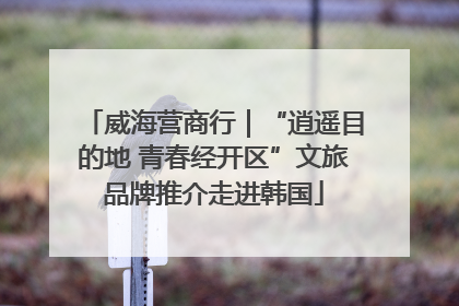 威海营商行｜“逍遥目的地 青春经开区”文旅品牌推介走进韩国