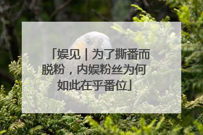 娱见｜为了撕番而脱粉，内娱粉丝为何如此在乎番位