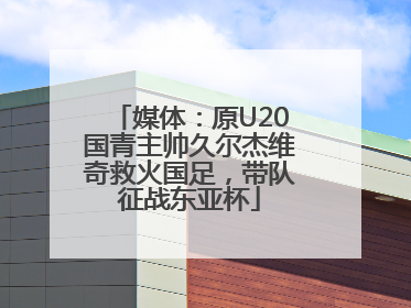 媒体：原U20国青主帅久尔杰维奇救火国足，带队征战东亚杯