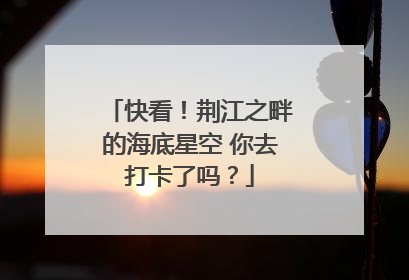 快看！荆江之畔的海底星空 你去打卡了吗？
