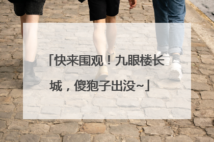 快来围观！九眼楼长城，傻狍子出没~