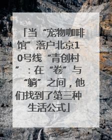当“宠物咖啡馆”落户北京10号线“青创村”：在“卷”与“躺”之间，他们找到了第三种生活公式