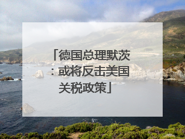 德国总理默茨：或将反击美国关税政策