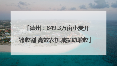 德州：849.3万亩小麦开镰收割 高效农机减损助增收