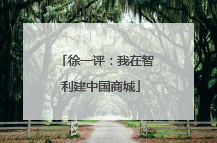 徐一评：我在智利建中国商城