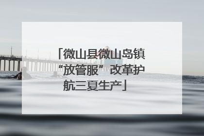 微山县微山岛镇“放管服”改革护航三夏生产
