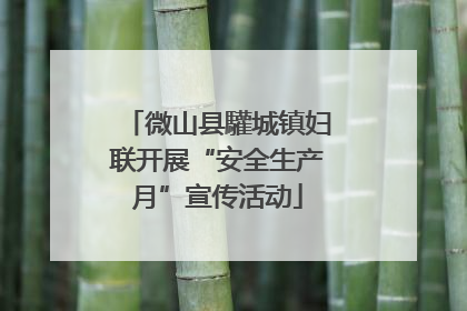 微山县驩城镇妇联开展“安全生产月”宣传活动